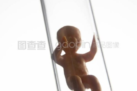 http://chongqing.nbgk120.com/post/209.html|重庆捐卵费用