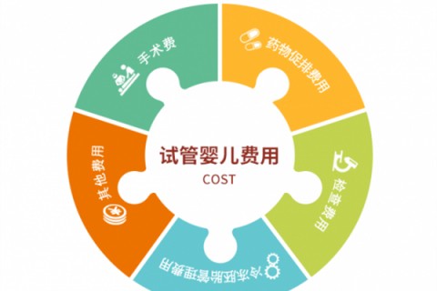 重庆捐卵宝宝肚痛，父母该怎么办？