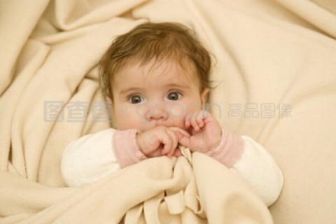 http://chongqing.nbgk120.com/post/188.html|重庆新闻中心